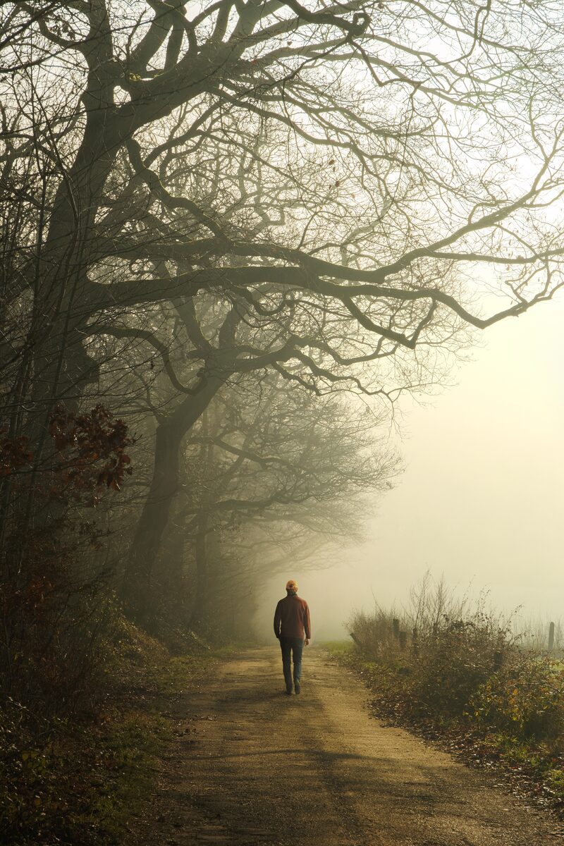 A quiet path forward through the mist