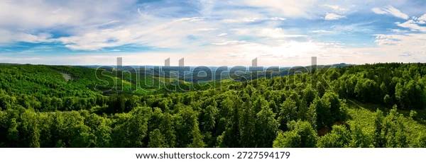 Aerial view of a vast green forest under an open sky