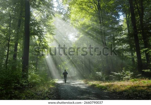 A person walking a forest path as light streams down through the trees